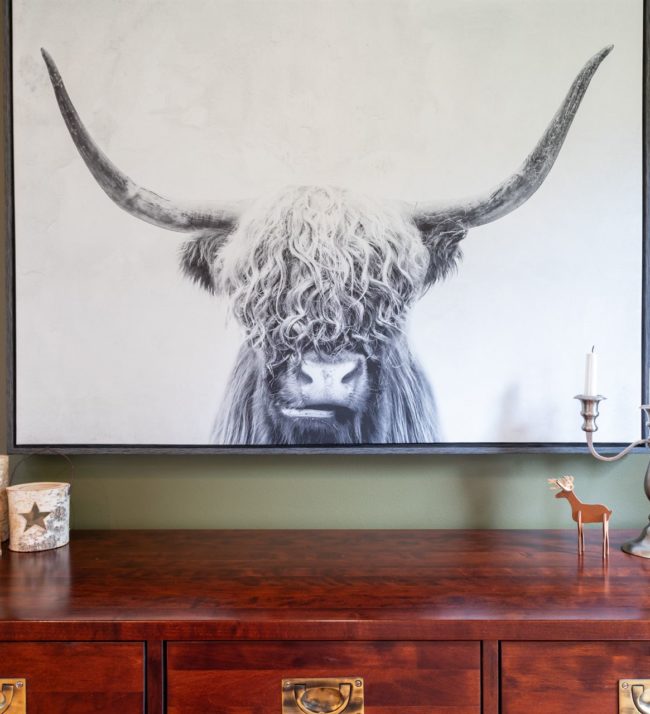 bed-and-breakfast-highland-cattle