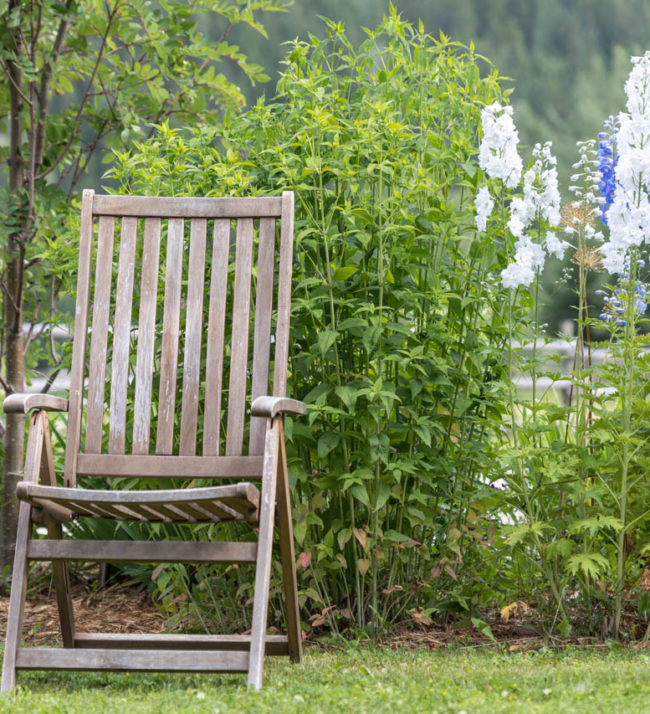 chair outside in garden