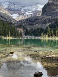 Lake-O'Hara-lakeshore-trail